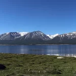 5bogd 029 copy
